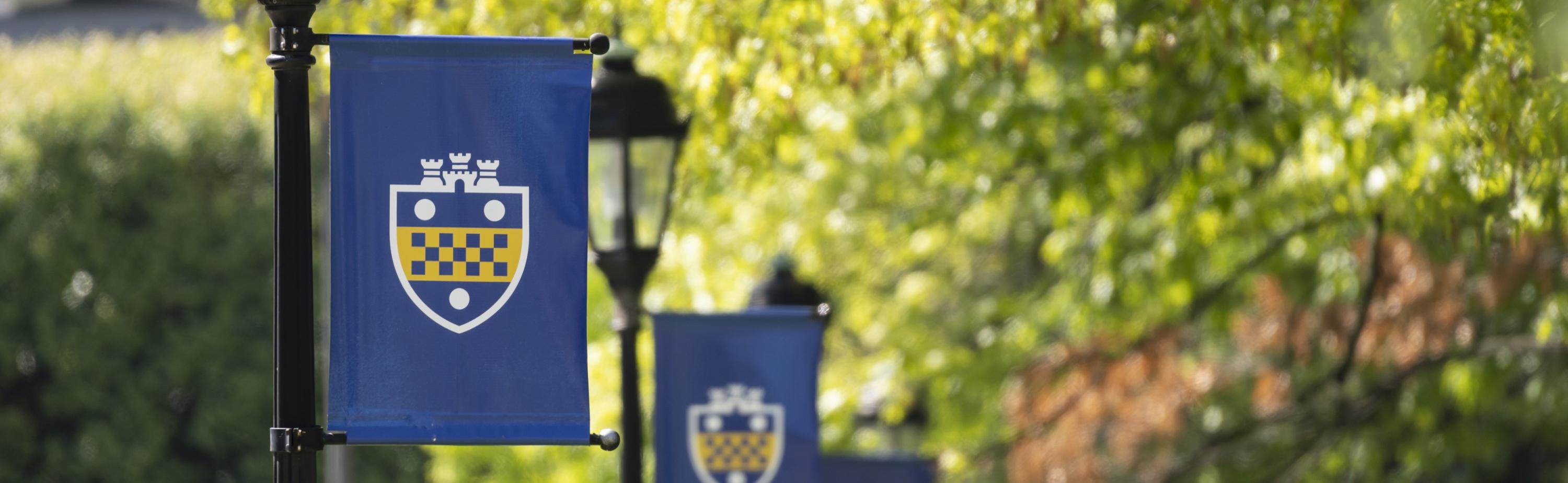 Pitt banners